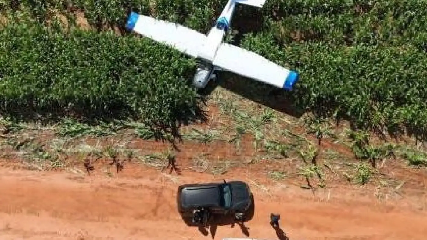 Avião cai em fazenda e dupla é presa com armas e munições
