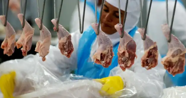 China habilita mais frigoríficos argentinos para exportação de frango