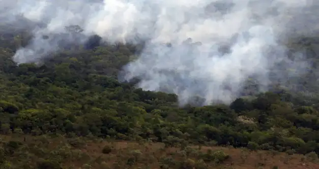 App para ajudar na coleta de dados sobre queimadas na Amazônia é desenvolvido em RO