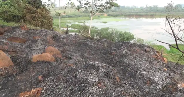 Homem é preso por colocar fogo em área de preservação permanente em Jaru