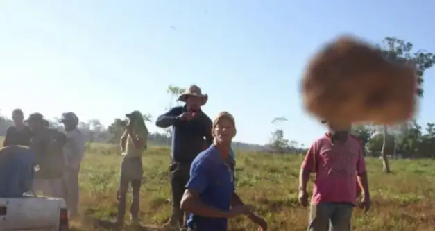 VÍDEO: Fiscais responsáveis por combater desmatamento em Rondônia estão marcados para morrer