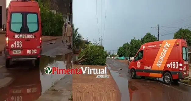 Árvore cai, derruba fiação elétrica e interdita ruas no Centro de Pimenta Bueno