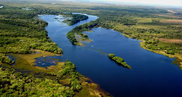 Rondônia finaliza 2019 com índice de desmatamento menor que em 2018