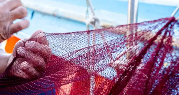 Mais de 65 mil pescadores afetados por manchas de óleo irão receber auxílio emergencial