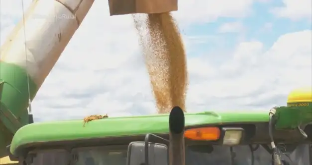 Colheita de soja atrasa no Vale do Jamari, em RO, devido às chuvas na região