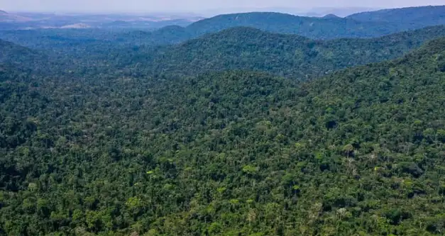 Unesco e Amazonas lançam plano de ação para Amazônia Central