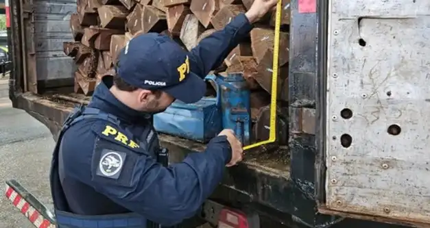PRF apreende mais de 90 metros cúbicos de madeira em RO
