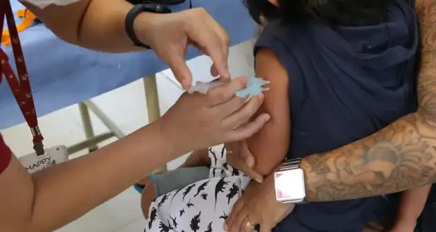 Santa Catarina quer ampliar até 12 anos vacinação contra a gripe
