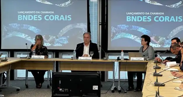 BNDES lança chamada permanente para projetos de preservação de corais