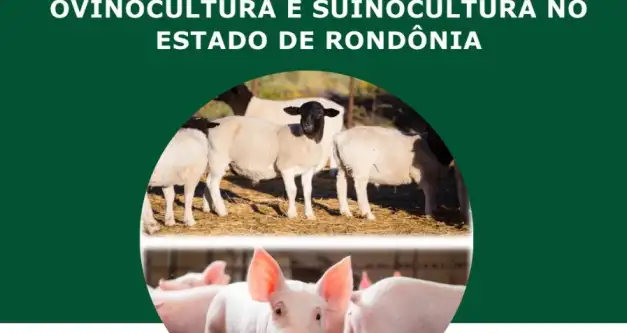 Cadeias produtivas da Ovinocultura e da Suinocultura são temas de encontros regionais em Rondônia