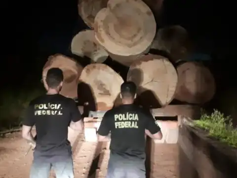 PF RO intensifica fiscalização para combater comércio ilegal de madeiras extraídas de terras indígenas, em Espigão do Oeste