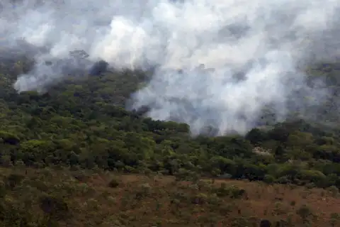 App para ajudar na coleta de dados sobre queimadas na Amazônia é desenvolvido em RO