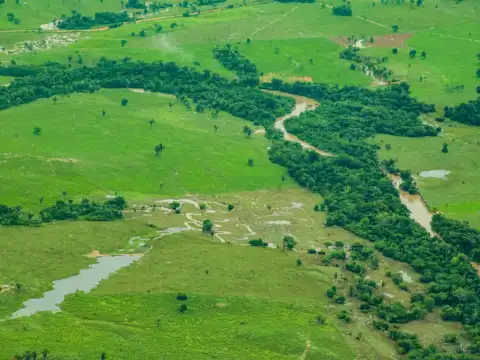 Redução de emissão de gases de efeito estufa na agropecuária é discutida em oficina do ABC+ Rondônia