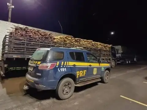 Em Porto Velho, PRF identifica transporte irregular de madeira