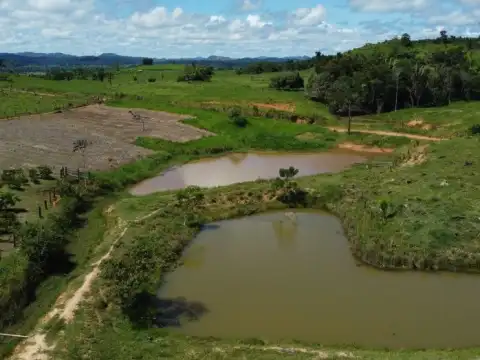 RO é Agro: investimento estimula agricultura familiar no setor Riachuelo, em Ji-Paraná