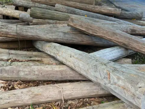 JI-PARANÁ: Comando regional de policiamento II anuncia leilão de madeiras