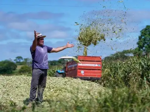 RO é Agro: calcário potencializa produção agrícola em Ji-Paraná
