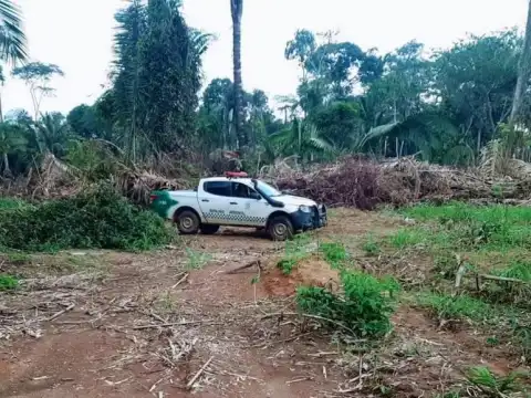 Homem é multado por desmatar 13 hectares de reserva em menos de um ano em Itapuã do Oeste, RO