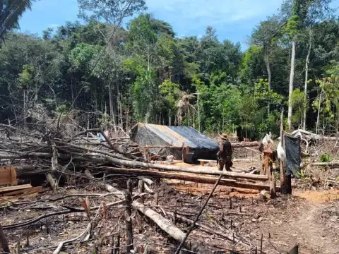 Ação ambiental em Rondônia: Polícia apreende motosserra e identifica desmatamento